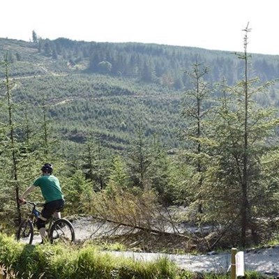 Gortin Glen Forest Mountain Bike Trails