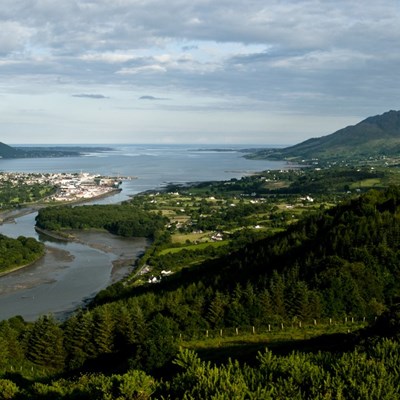Carlingford Lough From Flagstaff